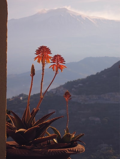 山景城的风景

